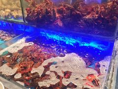 -SEA西雅图海鲜自助餐厅(海乐世界店)