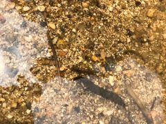 -碓臼峪自然风景区