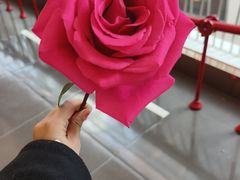 -PARFUM FLORAL花境法餐(南京首店)