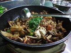 -贤鲁岛贤溪农庄