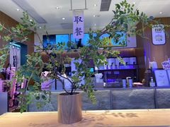 -茉莉奶白(广州动漫星城店)