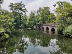 -桂湖森林公园
