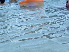 -重庆海昌加勒比海水世界