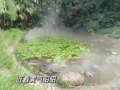 -苏州河梦清园环保主题公园