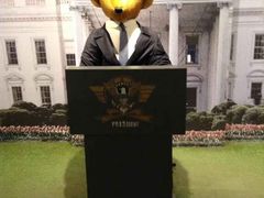 -济州岛泰迪熊博物馆