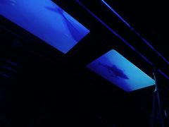 -海洋公园海洋列车－海滨站