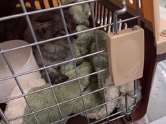 -美美宠物诊疗中心·异宠·骨科(滨江东信分院)