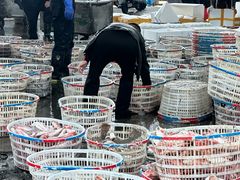 -中国舟山国际水产城