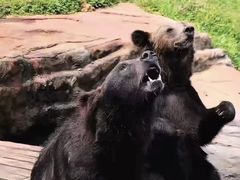 -海南热带野生动植物园