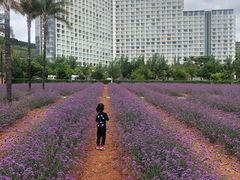 -抚仙湖禄充风景区