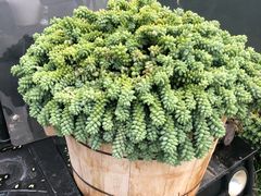 -杨林闻老三酸菜鱼(总店)