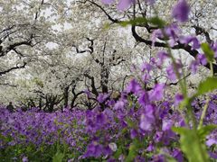 -江苏三台山国家森林公园