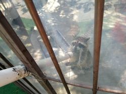 -萌宠亲子动物乐园(槐房万达店)