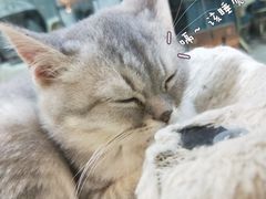 -钱小奴创意自助餐厅·原切谷饲安格斯畅吃(宁波环球银泰城店)