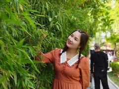 -茯茶镇