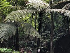 -赤水丹霞旅游区·佛光岩