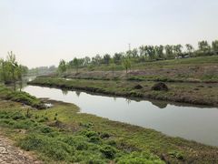 -洨河生态公园