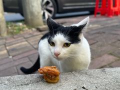 -小鱼锅贴明光土菜