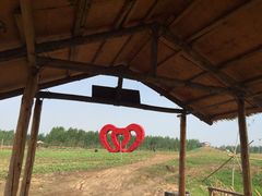 北纬44度·金珠花海景区-北纬44度·金珠花海休闲农业旅游景区