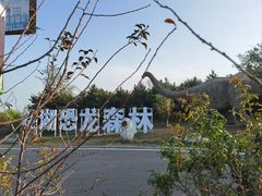 -大连铭湖国际观光牧场