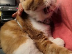 -臻鲜燕海鲜融合餐厅(金陵style店)