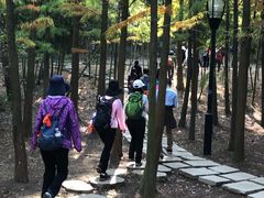 -宝界山林公园