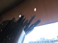 iphone_upload_pic-郭记原生态烤羊腿(长宁路店)