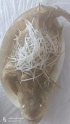 -菁幼月子会所(儿童医院店)