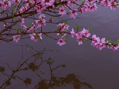 -东华大学(松江校区)