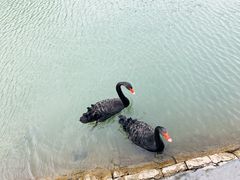 -芭东小镇温泉