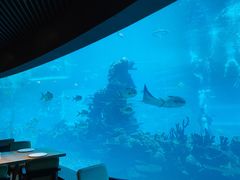 -海棠湾洲际-涛·海底餐厅·美人鱼·自助餐·海底隧道