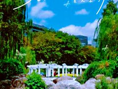 -新虹桥中心花园