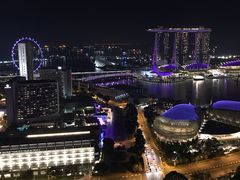 -新加坡瑞士史丹福酒店