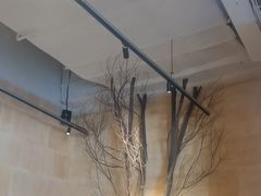 -一棠龙虾•王牌虾球(恒隆广场店)