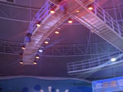 -烟台海昌鲸鲨海洋公园