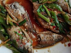 -生态苑农庄(十里画廊遇龙河店)