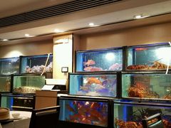 -金唐海鲜酒家