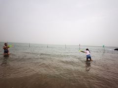 -红碱淖景区