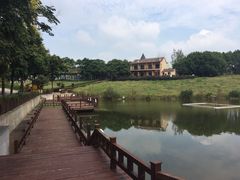 -大塘金香草谷