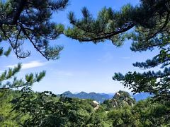 -六里坪国家森林公园