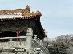 -北陵公园