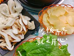 -蘑统田下·野生菌火锅