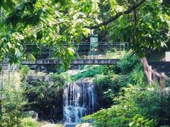 -藏龙百瀑风景区