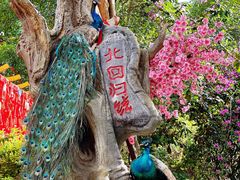 -墨江北回归线标志园