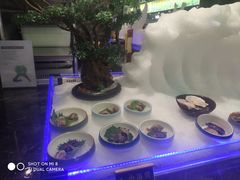 -海友荟•鲸彩(济宁爱琴海店)