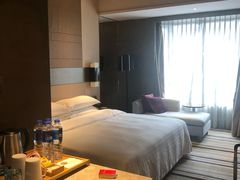 -扬州绿地铂骊酒店