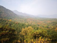 -北京鹫峰国家森林公园