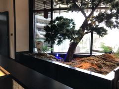 -绿茶餐厅(成都大悦城店)