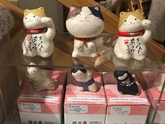 零售区-猫的天空之城概念书店(丽江古城饮玉巷店)