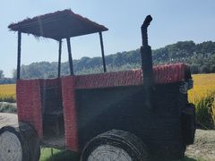 -苏州太湖西山岛开心农场